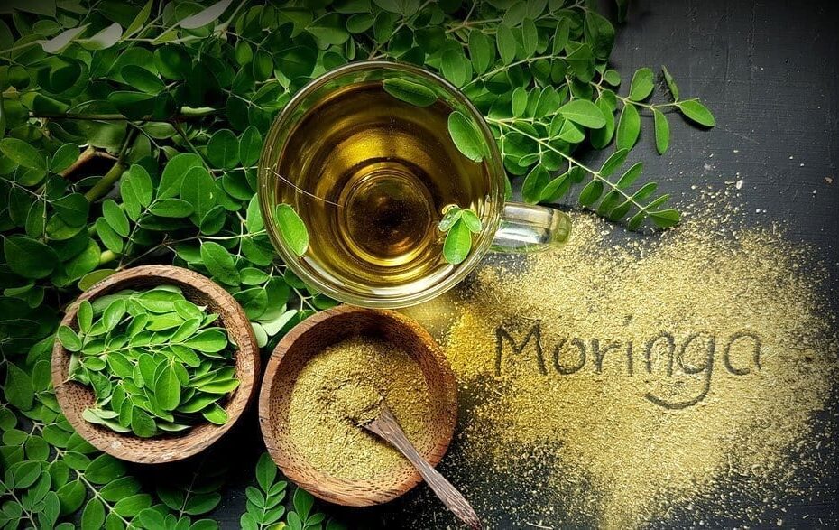 moringa diet