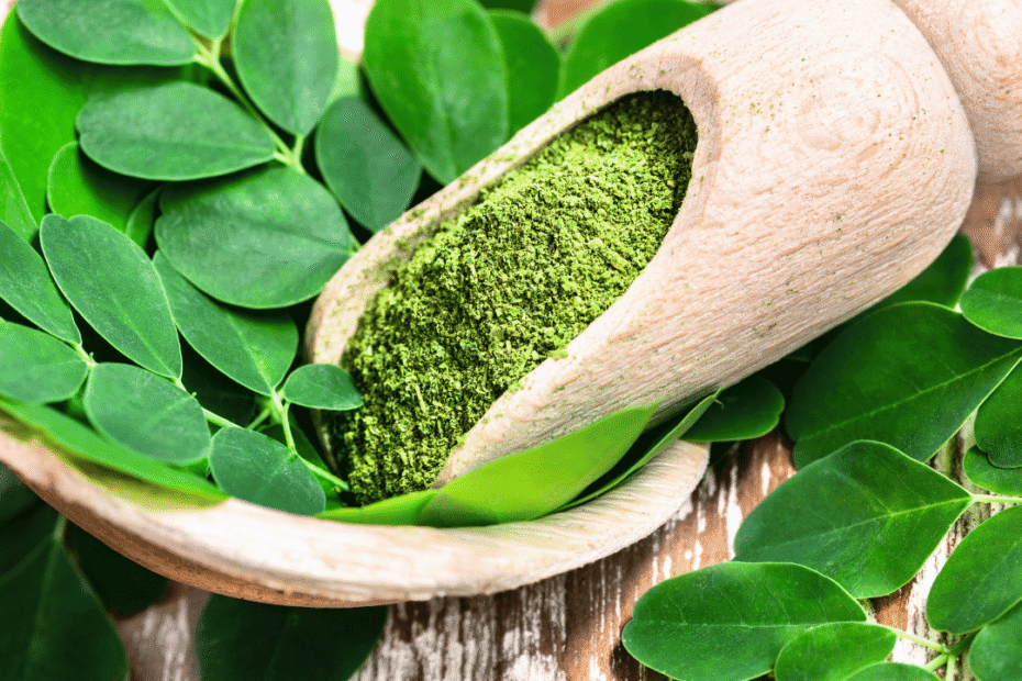 moringa powder